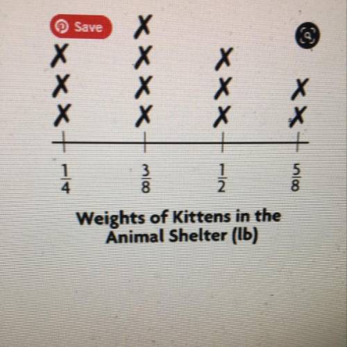 How many kittens weigh at least 3/8 pound?
Marked as brainless