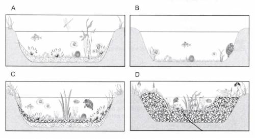 Diagrams A-D show the sequence of changes in a pond.

1. Look at each stage of ecological successi