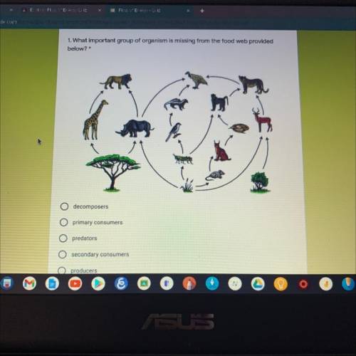 What important group of organisms is missing from the food web provider below?