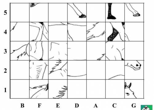 Does anybody know how to use a mystery grid sheet I know it is a horse but how do I draw it on a gr