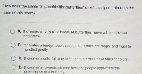 Snapshots like butterflies float in my mind delighting, surprising Giggles like popcorn pile up in