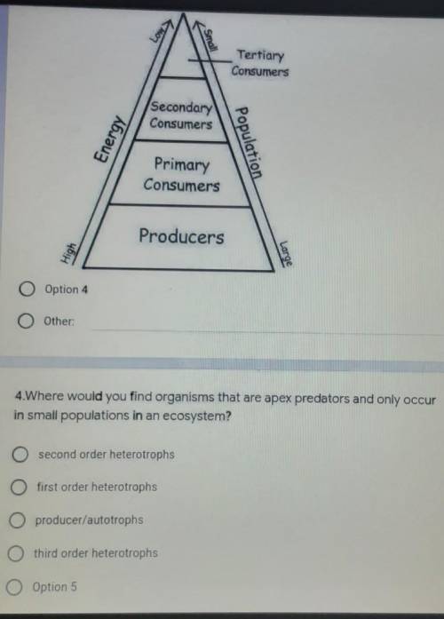 Can anyone help me please? and the picture comes with question ​