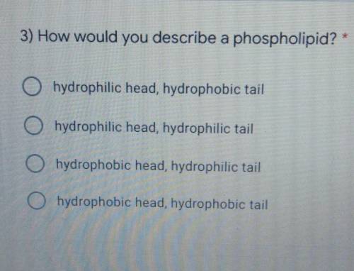 How would you describe a phospholipid?​