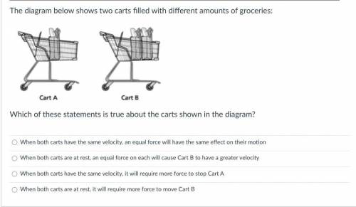 The diagram below shows two carts filled with different amounts of groceries:

Which of these stat