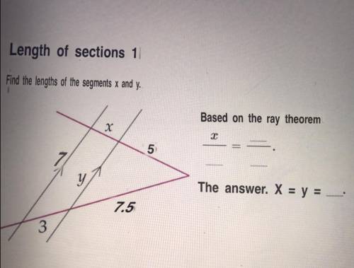 Find x and y with ray theorem