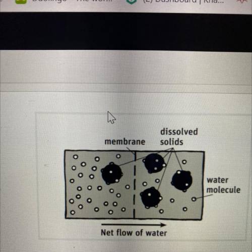 N

What cellular transport is shown in the diagram to the right?
(1 Point)
*
Facilitated Diffusion