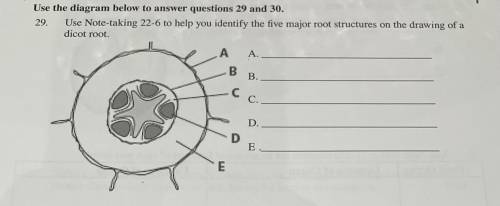 29.

Use the diagram below to answer questions 29 and 30.
Use Note-taking 22-6 to help you identif