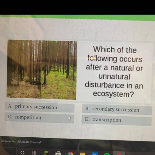 Which of the

following occurs
after a natural or
unnatural
disturbance in an
ecosystem?