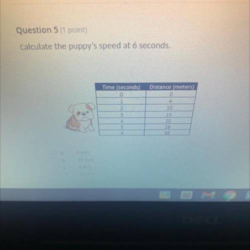Calculate the puppy's speed at 6 seconds.