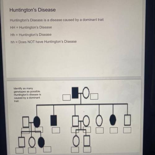 Huntington's Disease

Huntington's Disease is a disease caused by a dominant trait
HH = Huntington