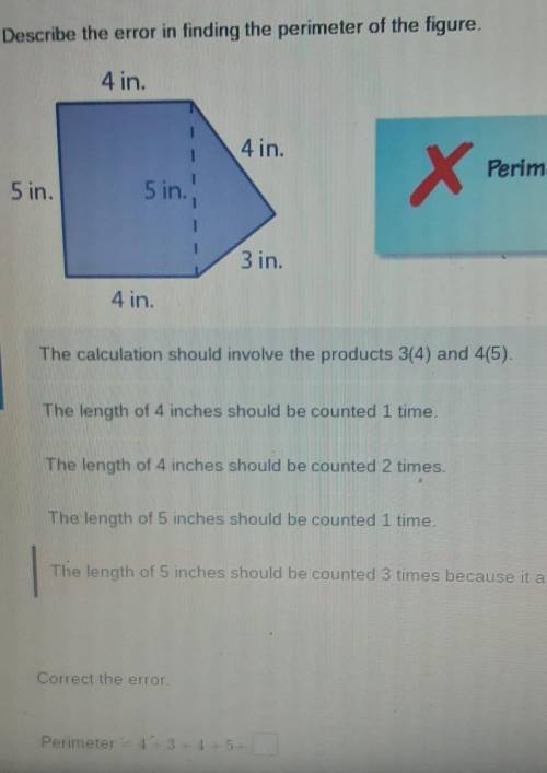 Describe the error in finding the perimeter of the figure.​