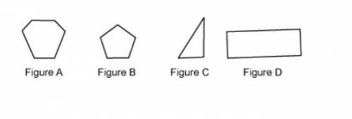 Which polygon appears to be regular?

Figure A
Figure B
Figure C
Figure D
I will give to t