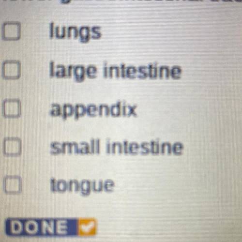 Which of the following organs are found in the

lower gastrointestinal tract? Check all that apply
