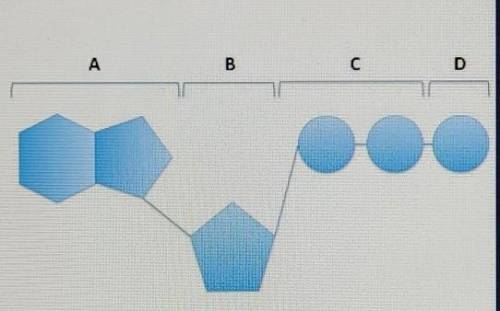 Where does your body get the energy for reattaching a third phosphate to ADP, creating ATP?

A. fr