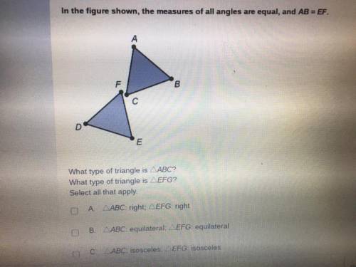 In the figure shown, the measures of all angles are equal, and AB = EF.

What type of triangle is