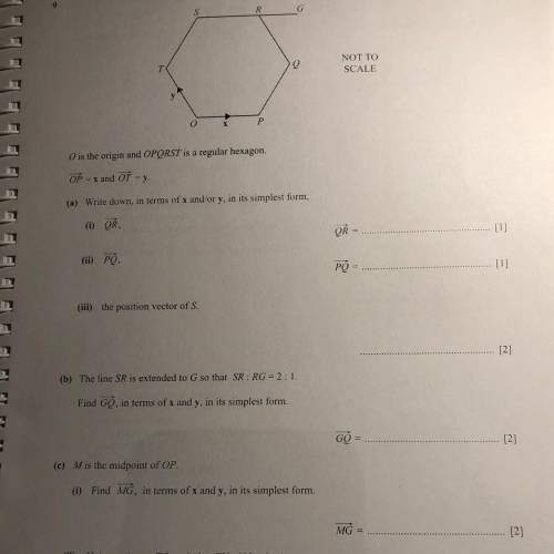 Plz help,easy math question