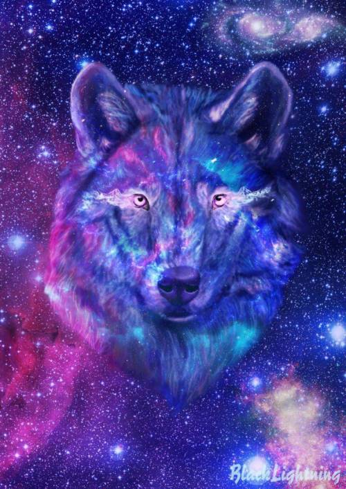 Pretty space wolf enjoy