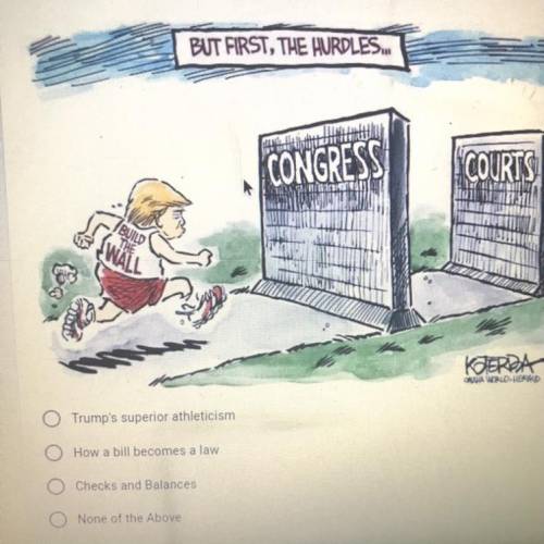 What concept is this political cartoon referring to?