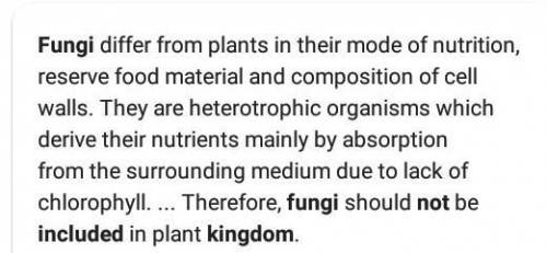 Why are fungi not included in Kingdom plantae​