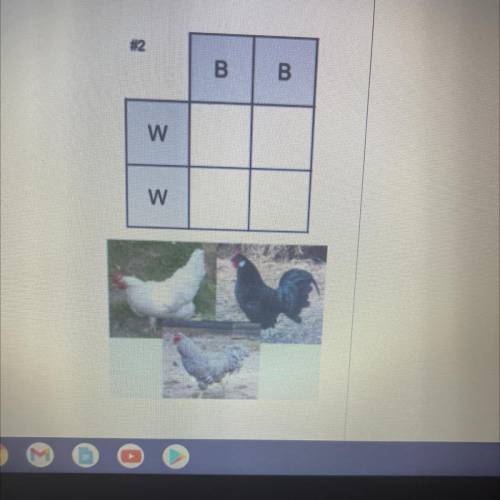 What pattern of inheritance is represented punnet square
