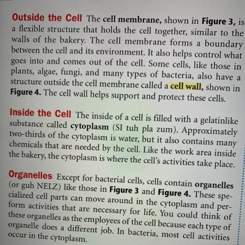Read this and answer the question Describe the purpose of a cell membrane?

-Get information based