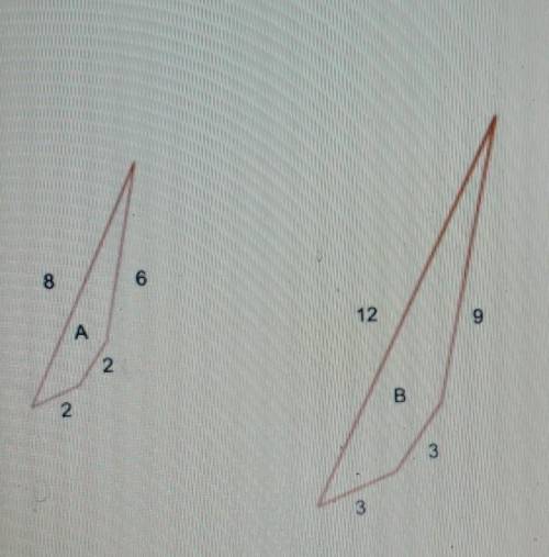 What scale factor is applied to shape b to make shape a? I need help asap please ​