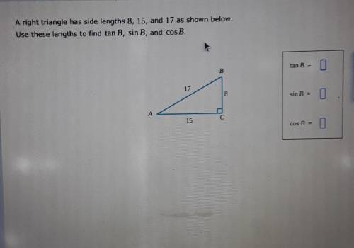 Please help me with this question I honestly dont understand it​