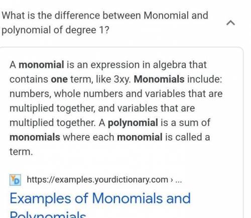 What is the difference between a monomial and a polynomial?