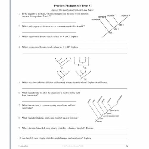 Can you answer what’s on this worksheet?
