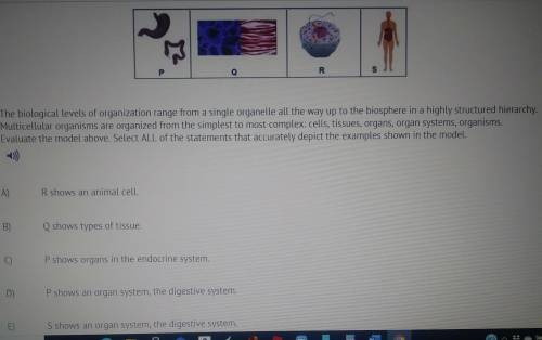 P S Q R The biological levels of organization range from a single organelle all the way up to the b