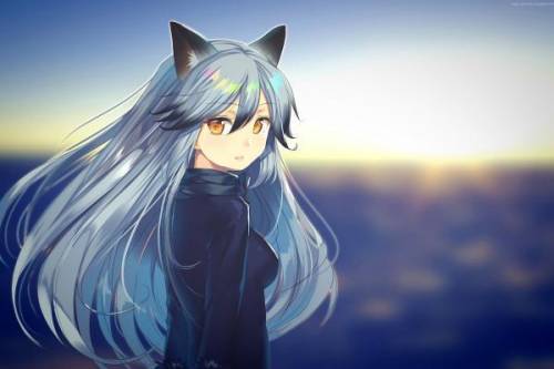 Rp anyone? Abby, 10 in wolf years and is 12 in human years (Not real age) straight and can change f