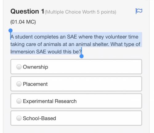 A student completes an SAE where they volunteer time taking care of animals at an animal shelter. W