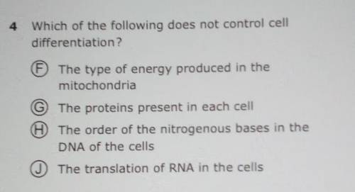 Which of the following does not control cell differentiation?​