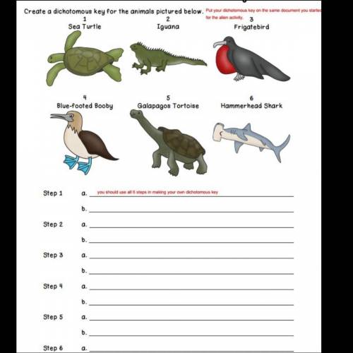 I need help I need to do one that ends up being the turtle and the iguana
