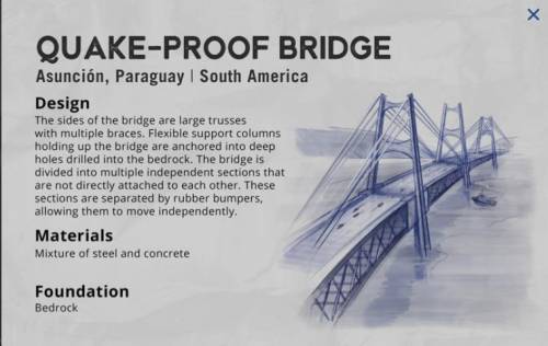 Do you think the plan for the bridge in South America is appropriate based on its location? Why or