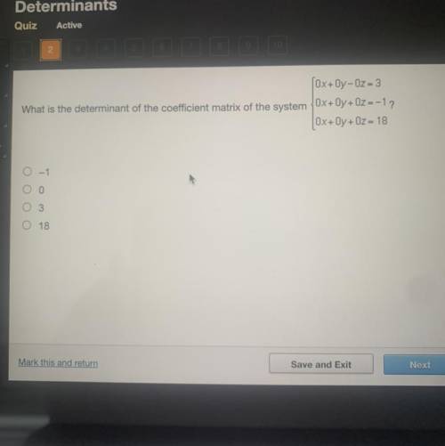 What is the determinant of the coefficient matrix of the system?