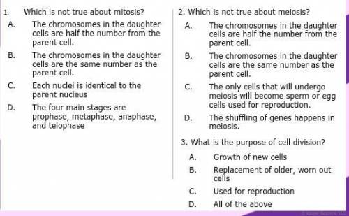 Mitosis and meiosis ???????????/