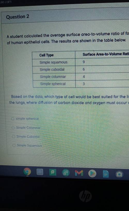 Based on the data, which type of cell would be best suited for the lining the alveoli of the lungs,