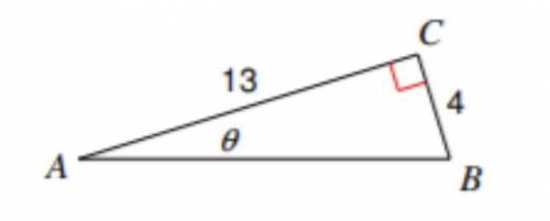Find the measure of the angle indicated (x). Round to the nearest tenth. Show your work to support
