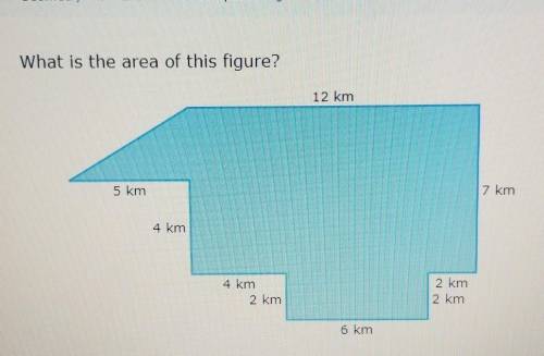 What is the area of this figure?​