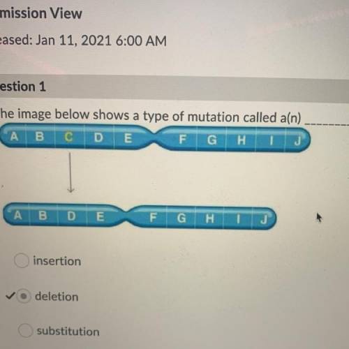 The image below shows a type of mutation called a(n) _________.