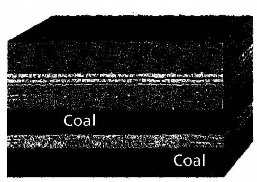 A geologist finds an area where the rocks are layers of coal and shale as shown in the diagram belo