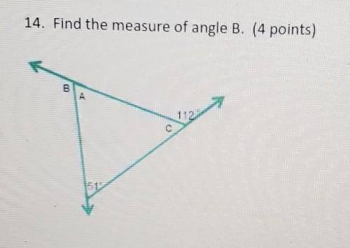 Find the measure of angle B.​