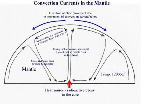 GUYS PLEASE MAD URGENT

What is the source of heat that causes convection currents in the mantle?