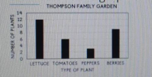 The Thompson Family has a garden in their backyard. They take the produce each week to a local farm