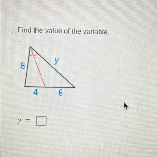 Find the value of the variable.
8
4
6
y =