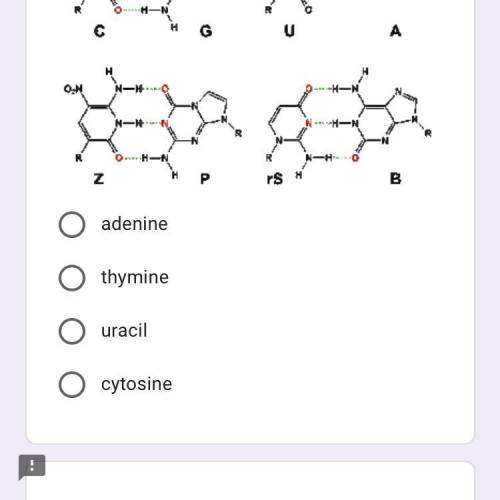 C cytosine need help with this problem