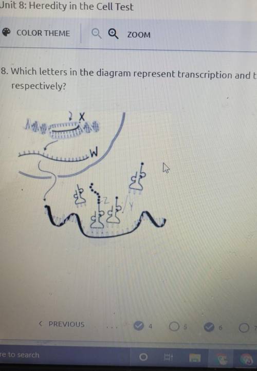 3. Which letters in the diagram represent transcription and translation, respectively? W h VOL. 22