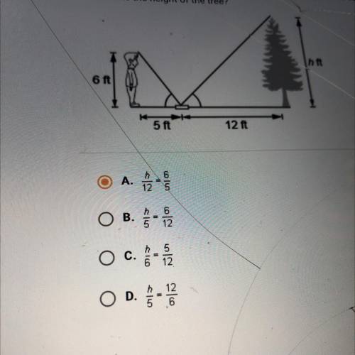 The figure shows a person estimating the height of a tree by looking at the

top of the tree with
