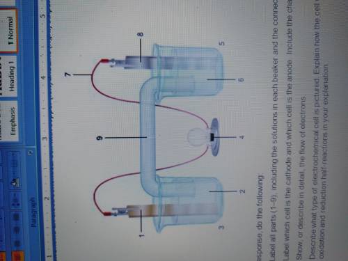 1. The diagram shows an electrochemical cell with copper (left) and zinc (right) strips.

In your